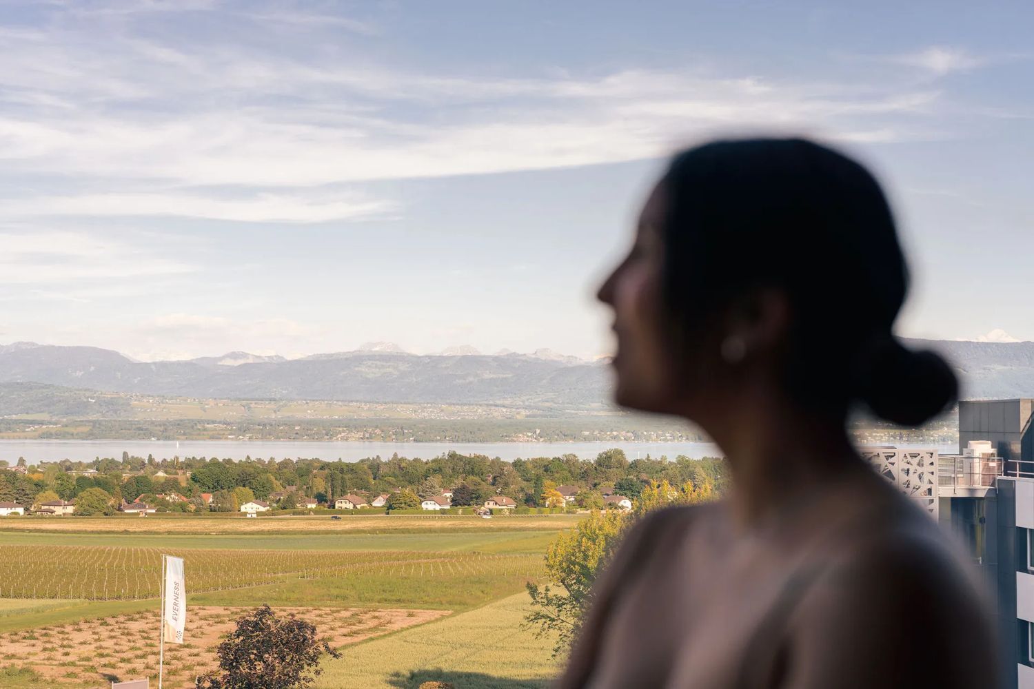 Vue sur les vignes, le lac et les Alpes depuis le toit